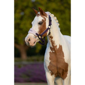 LeMieux Ensemble Licol Mini Vogue Juniper LeMieux Ensemble Licol Mini Vogue Juniper