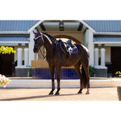 LeMieux Tapis de Selle Merino Loire Classic de Saut Juniper LeMieux Tapis de Selle Merino Loire Classic de Saut Juniper