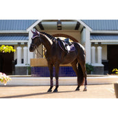 LeMieux Tapis de Selle Merino Loire Classic de Saut Juniper LeMieux Tapis de Selle Merino Loire Classic de Saut Juniper