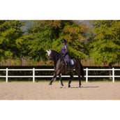 LeMieux Tapis de Selle Suede Dressage Violet LeMieux Tapis de Selle Suede Dressage Violet