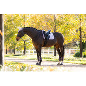 LeMieux Tapis de Selle Suede Dressage Violet LeMieux Tapis de Selle Suede Dressage Violet