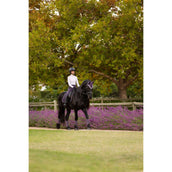 LeMieux Tapis de Selle Loire Classic Dressage Juniper LeMieux Tapis de Selle Loire Classic Dressage Juniper