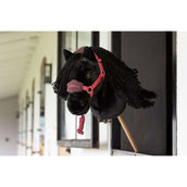 LeMieux Hobby Horse Halster Vogue Airelle LeMieux Hobby Horse Halster Vogue Airelle