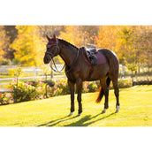 LeMieux Tapis de Selle Essence de Saut Damson LeMieux Tapis de Selle Essence de Saut Damson