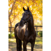 LeMieux Licol Essence Noir LeMieux Licol Essence Noir