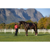 LeMieux Tapis de Selle Loire Classic Dressage Navy/Airelle LeMieux Tapis de Selle Loire Classic Dressage Navy/Airelle