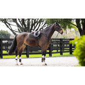 LeMieux Tapis de Selle Prosorb Plain 2 Pocket Polyvalent Noir LeMieux Tapis de Selle Prosorb Plain 2 Pocket Polyvalent Noir