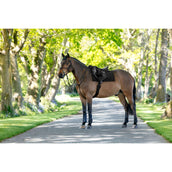 LeMieux Tapis de Selle Pillow Pad Noir LeMieux Tapis de Selle Pillow Pad Noir