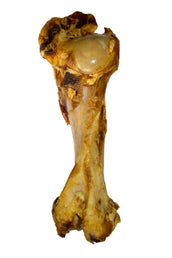 Voskes Os de Bœuf Voskes Os de Bœuf