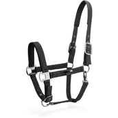 Mrs. Ros Ensemble licou Festive Noir Mrs. Ros Ensemble licou Festive Noir