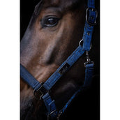 Mrs. Ros Ensemble licou Festive Saphir Mrs. Ros Ensemble licou Festive Saphir