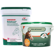 Primeval Gelatinate Cheval Primeval Gelatinate Cheval