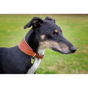 Digby & Fox Collier Greyhound Matelassé Tan Digby & Fox Collier Greyhound Matelassé Tan
