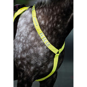 Equi-Flector Pièce de Poitrail Réfléchissant Fluor Jaune Equi-Flector Pièce de Poitrail Réfléchissant Fluor Jaune