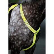 Equi-Flector Pièce de Poitrail Réfléchissant Fluor Jaune Equi-Flector Pièce de Poitrail Réfléchissant Fluor Jaune
