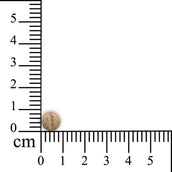 Sensipharm Inconti Stop - Petits Animaux Sensipharm Inconti Stop - Petits Animaux