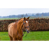 Trust Bride Knokke Marron/Argent Trust Bride Knokke Marron/Argent