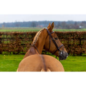 Trust Bride Knokke Marron/Argent Trust Bride Knokke Marron/Argent