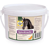 Vitalstyle Force Musculaire Vitalstyle Force Musculaire