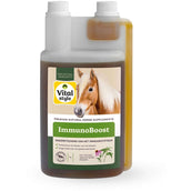 Vitalstyle ImmunoBoost Vitalstyle ImmunoBoost
