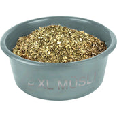 Waldhausen Mangeoire XL avec Couvercle Gui Vert Waldhausen Mangeoire XL avec Couvercle Gui Vert