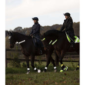 Waldhausen Set pour Bride Reflex 3 Pièces Néon Jaune Waldhausen Set pour Bride Reflex 3 Pièces Néon Jaune