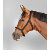 Waldhausen Licol Pâture Noir Waldhausen Licol Pâture Noir