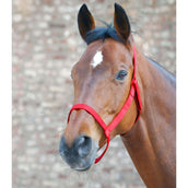 Waldhausen Licol Pâture Rouge Waldhausen Licol Pâture Rouge