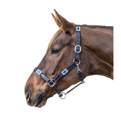 Waldhausen Licol Polo Cuir Noir/Bleu Waldhausen Licol Polo Cuir Noir/Bleu