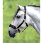 Waldhausen Caveçon Rosé Noir Waldhausen Caveçon Rosé Noir