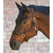 Waldhausen Licol X-Line Anatomic Cuir Marron Waldhausen Licol X-Line Anatomic Cuir Marron