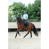 WeatherBeeta Bandages Prime 4 Pièces Noir WeatherBeeta Bandages Prime 4 Pièces Noir