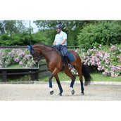 WeatherBeeta Bandages Prime 4 Pièces Marin WeatherBeeta Bandages Prime 4 Pièces Marin