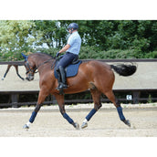 WeatherBeeta Bandages Prime 4 Pièces Marin WeatherBeeta Bandages Prime 4 Pièces Marin