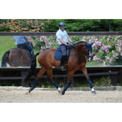 WeatherBeeta Bandages Prime 4 Pièces Marin WeatherBeeta Bandages Prime 4 Pièces Marin