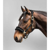 Waldhausen Licol Exclusive Noir/Noir Waldhausen Licol Exclusive Noir/Noir