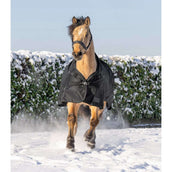 Waldhausen Couverture d'Extérieur Scandic High Neck 100g Noir Waldhausen Couverture d'Extérieur Scandic High Neck 100g Noir