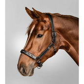 Waldhausen Halster Licol Crystal Noir/Gris Waldhausen Halster Licol Crystal Noir/Gris
