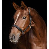 Waldhausen Halster Licol S-Line Classy Noir Waldhausen Halster Licol S-Line Classy Noir