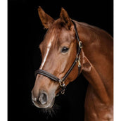 Waldhausen Halster Licol S-Line Classy Marron Waldhausen Halster Licol S-Line Classy Marron