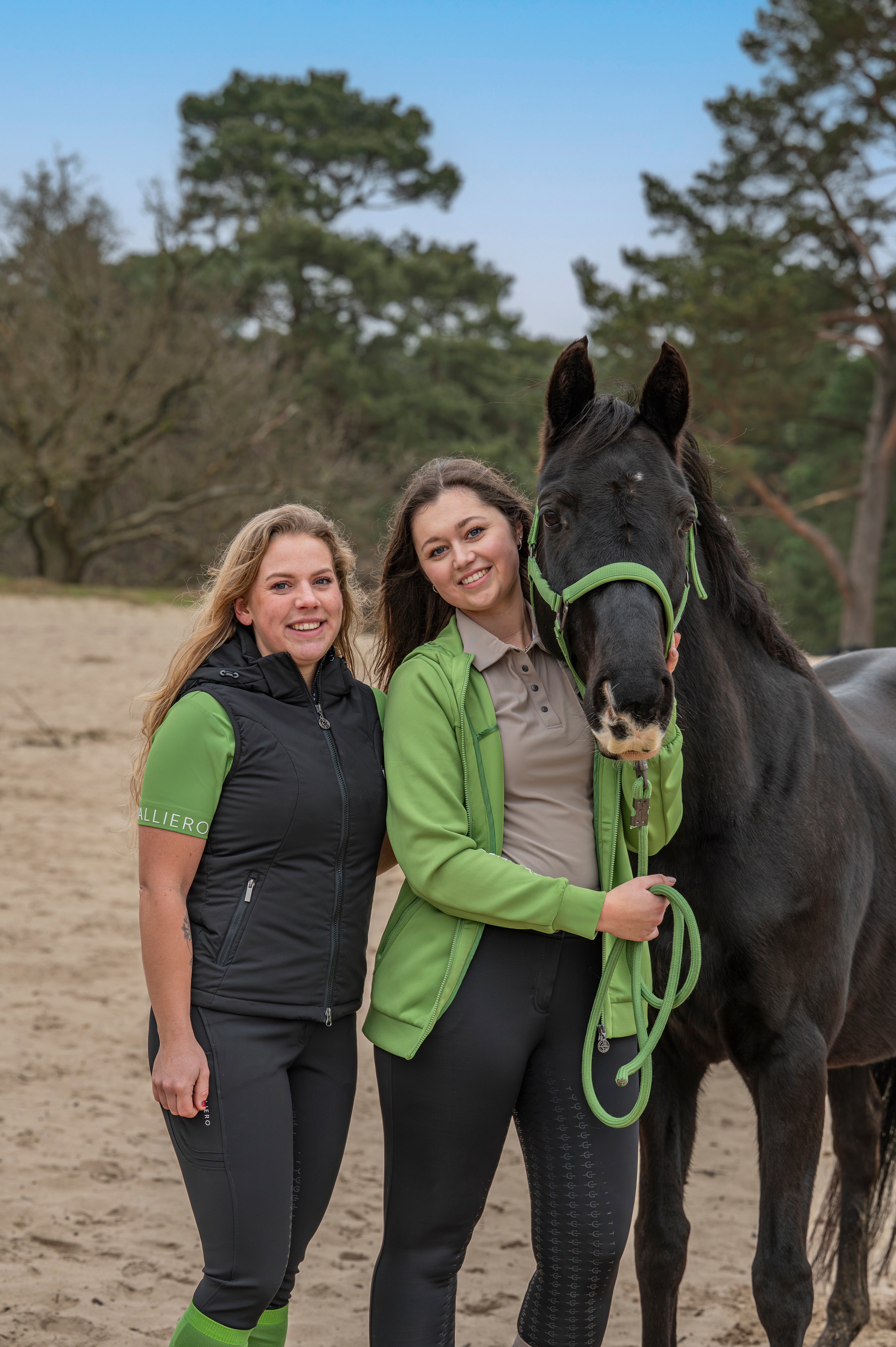 Collections Collections