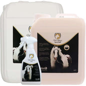 Excellent Spray Hi Gloss Excellent Spray Hi Gloss