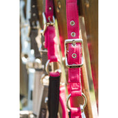 ANKY Ensemble Licol ATH261001 Innuendo ANKY Ensemble Licol ATH261001 Innuendo