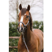 ANKY Ensemble Licol Stones Steel Grey ANKY Ensemble Licol Stones Steel Grey