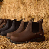 Ariat Jodhpurs Groundbreaker Chelsea Waterproof Steel Toe Hommes Marron Ariat Jodhpurs Groundbreaker Chelsea Waterproof Steel Toe Hommes Marron