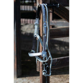 Harry's Horse Ensemble Licol Kirchberg Monument Harry's Horse Ensemble Licol Kirchberg Monument