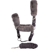 Harry's Horse Ensemble Licol Jochberg Noir/Sable Harry's Horse Ensemble Licol Jochberg Noir/Sable