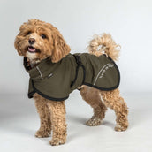 Back on Track Veste pour Chien BAY Mesh Olive Back on Track Veste pour Chien BAY Mesh Olive