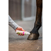 Bense & Eicke Booster au Laurier Bense & Eicke Booster au Laurier