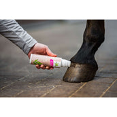 Bense & Eicke Booster au Laurier Bense & Eicke Booster au Laurier